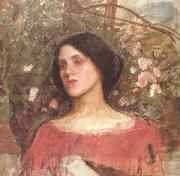 John William Waterhouse The Rose Bower (mk41) oil